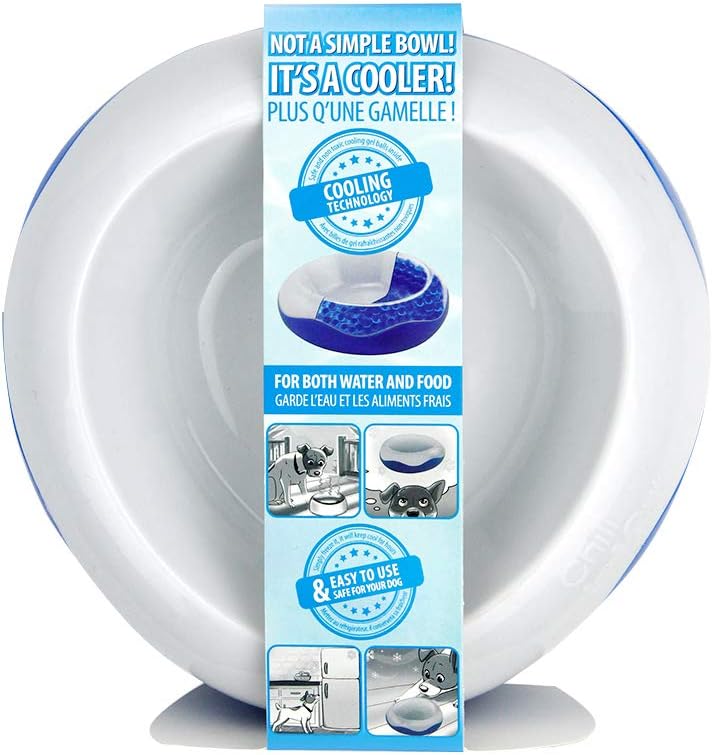 All For Paws Chill Out Cooler Bowl