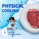 All For Paws Chill Out Cooler Bowl