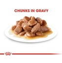 Royal Canin Pouch Light Weight Care Gravy Formula for Adult Cat – 85g
