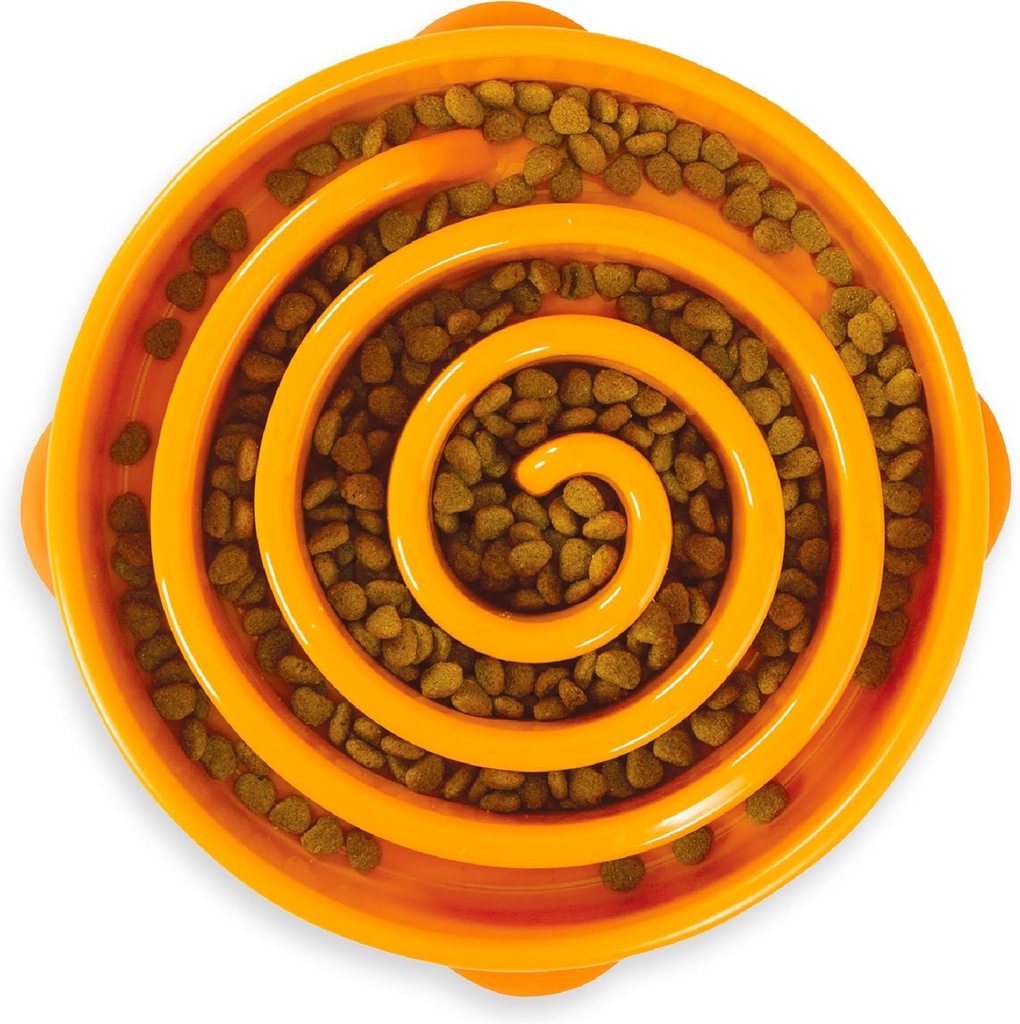Pawise Slow Feeder - Swirl 