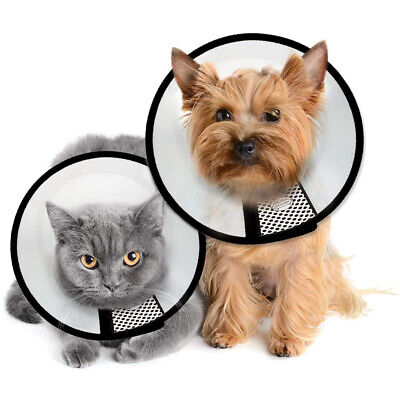 [8886467530968] Pawise Pet E-Collar (XX Large)