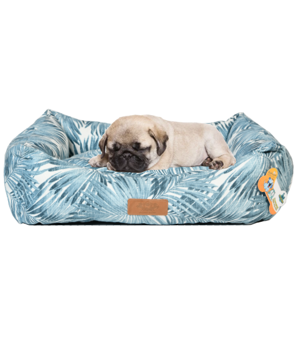 سلسلة ماكارون - نخلة من بت لوف إيرث