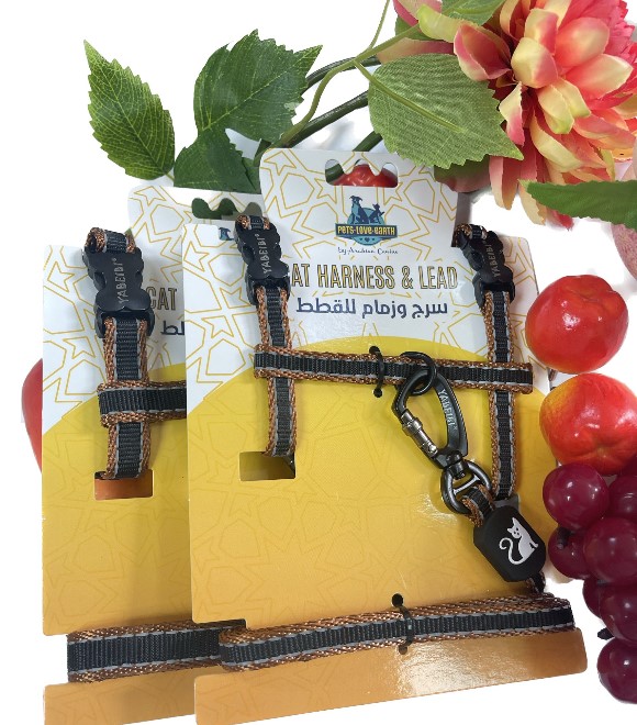 مقود وهارنس للقطط من النايلون بتصميم عاكس ثنائي اللون من بت لوف إيرث