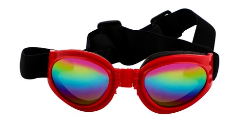 نظارات شمسية بالأشعة فوق البنفسجية للقطط والكلاب