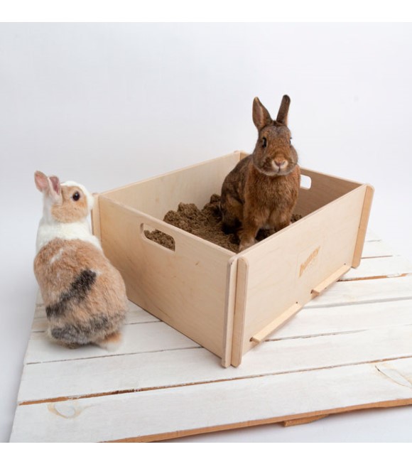 Bunny Nature Interactive Digging Box
