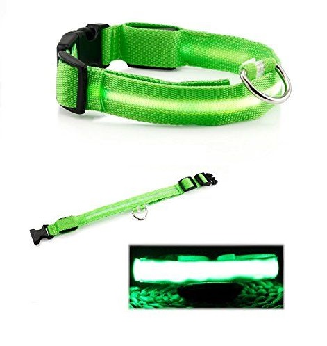Dog LED Collar Green