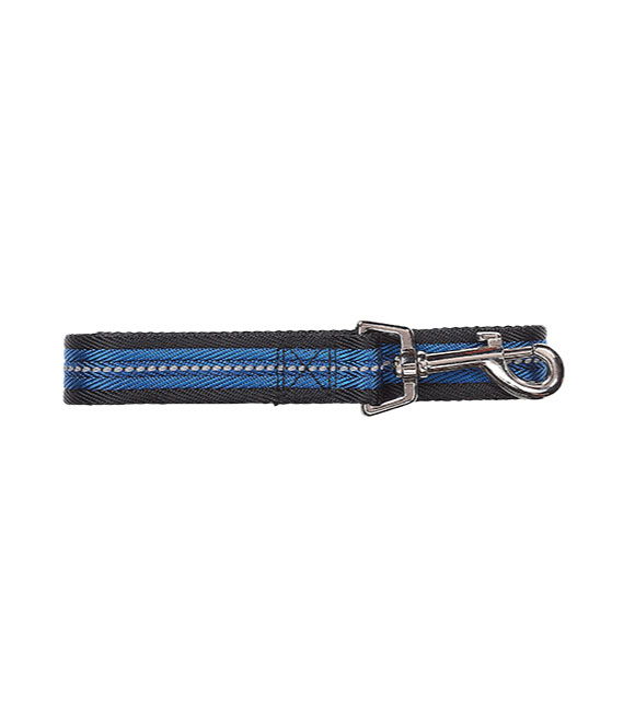 [8886467532559] Pawise Dog Reflective Leash Blue (Small)