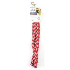 Pawise Dog Reflective Leash Red