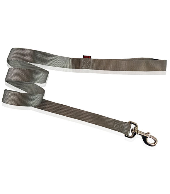 Pet Interest Nylon Dog Leash