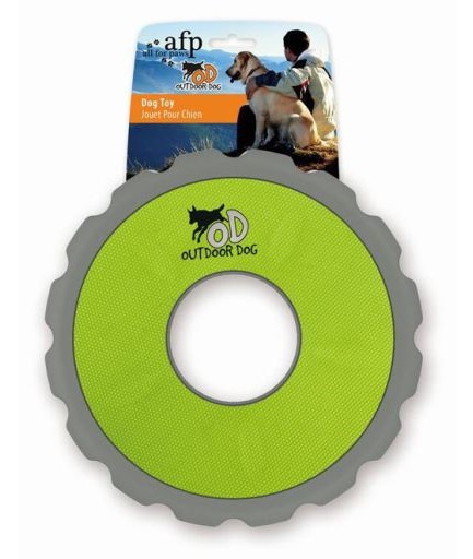 All For Paws Outdoor - Durafoam Flyer Green