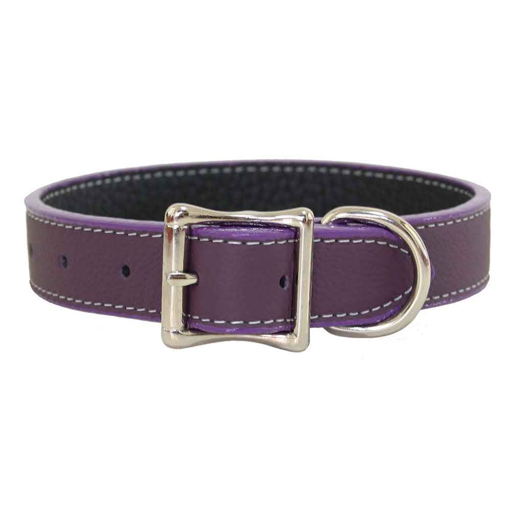 Casual Canine Flat Leather Dog Collar, 8 To 11-inch, Ultra Violet