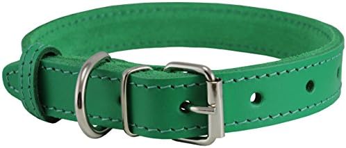 Casual Canine Flat Leather Dog Collar, 8-11-inch, Parrot Green