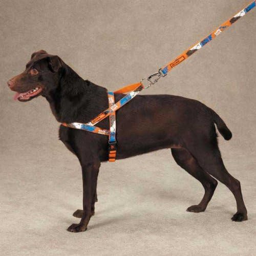 Casual Canine Xtreme Game Over Harness 23-28 In  Orange