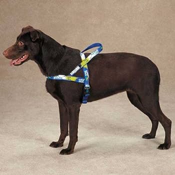Casual Canine Xtreme Game Over Harness 23-28In Blue