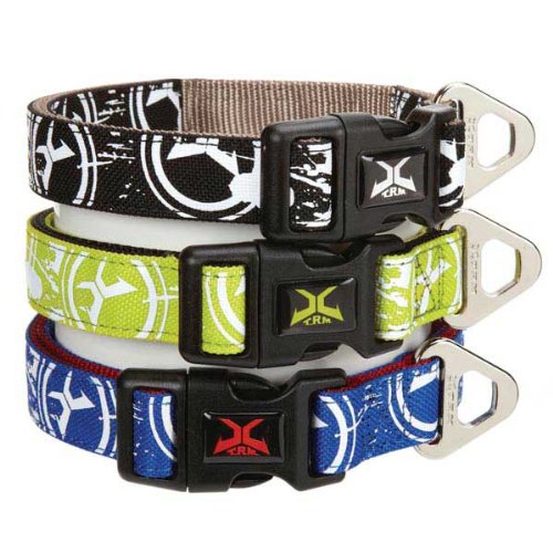 Casual Canine Xtreme Logo Collar, 6-8 in blue