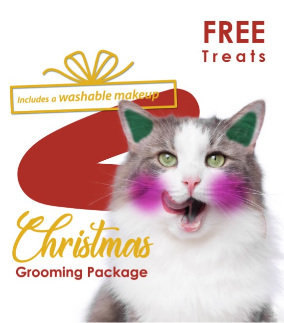 Christmas Grooming Package Cat: Price SAR 300