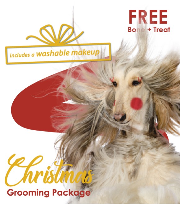 Christmas Grooming Package Dog Large: Price SAR 300