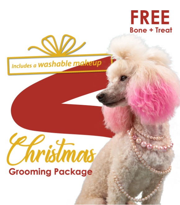 Christmas Grooming Package Dog S/M: Price SAR 300