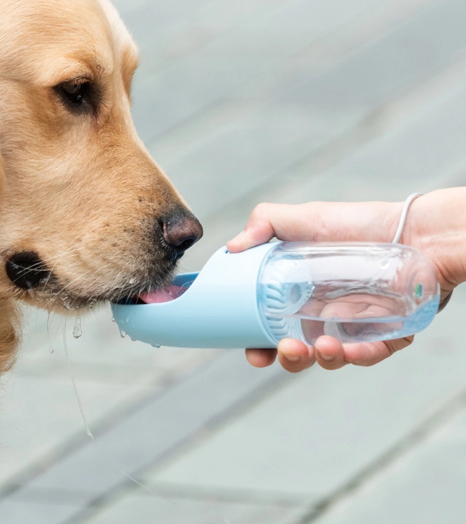 قارورة سفر - أزرق فاتح (300 مل) من دوغنس