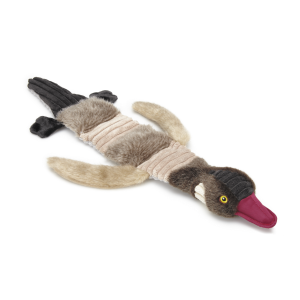 أوزة جريغيلز الناقوسة