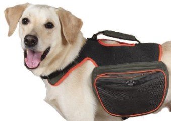 حقيبة ظهر للكلاب من جاردين، متوسطة، خضراء