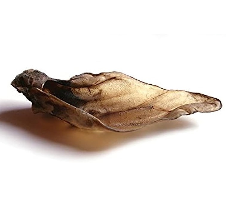 JR Cow Ears XL 1 Pcs