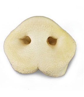 خرطوم الخنزير المنتفخ من JR (قطعة واحدة)