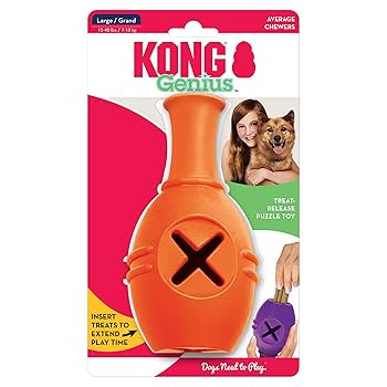 Kong Genius Leo Large