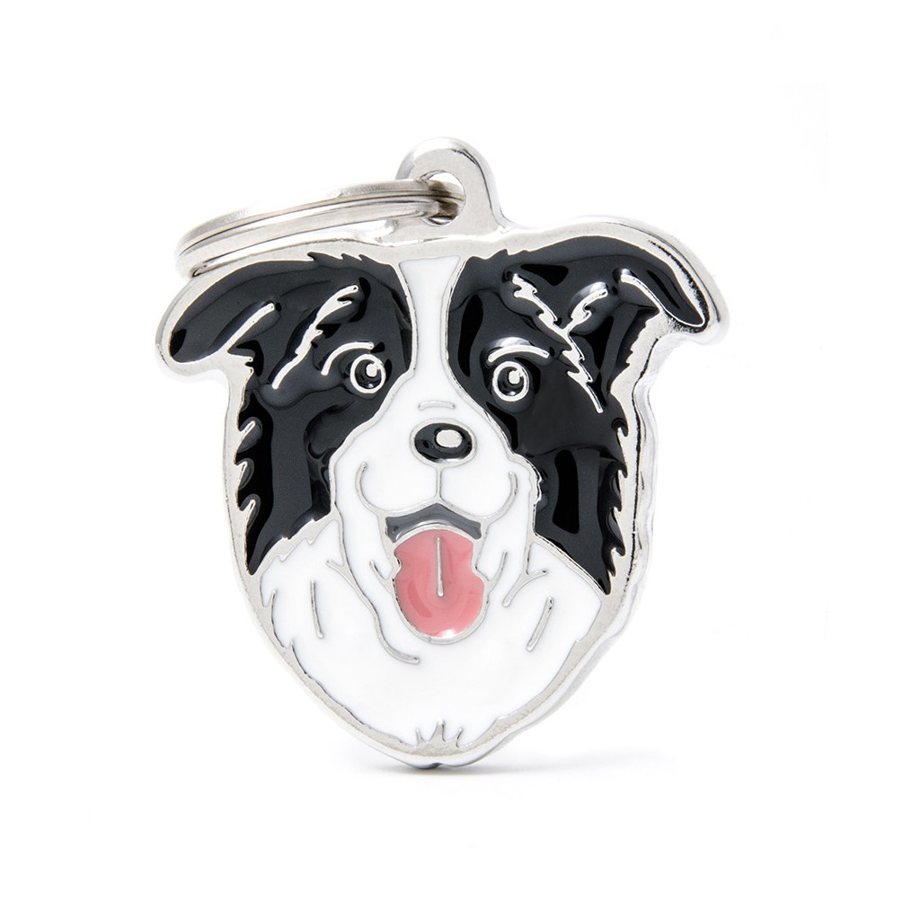 My Family Friends ID Tag - Border Collie