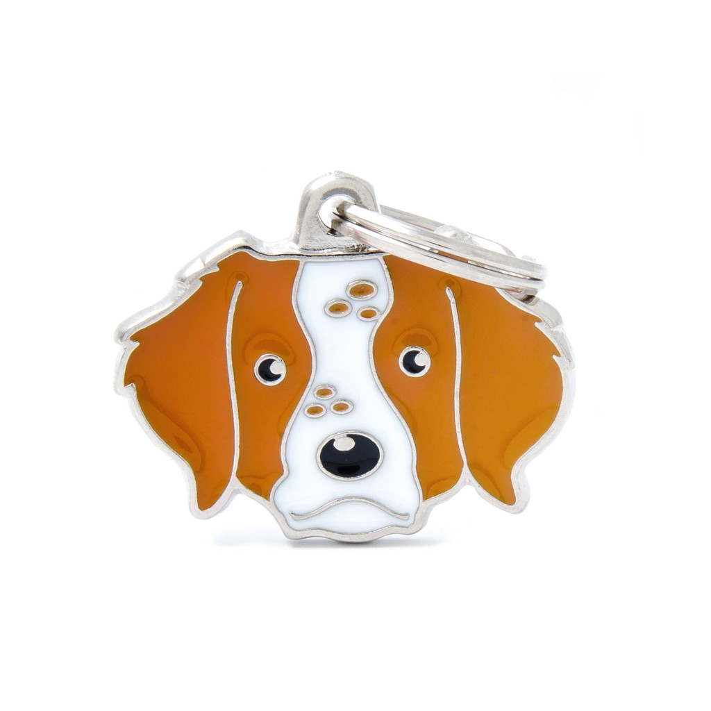 بطاقة تعريف أصدقاء ماي فاميلي - بريتاني