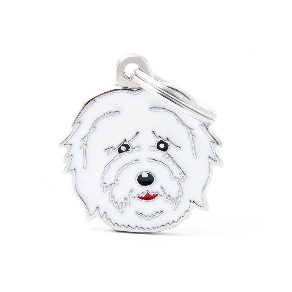 بطاقة تعريف أصدقاء ماي فاميلي - كوتون دو توليار