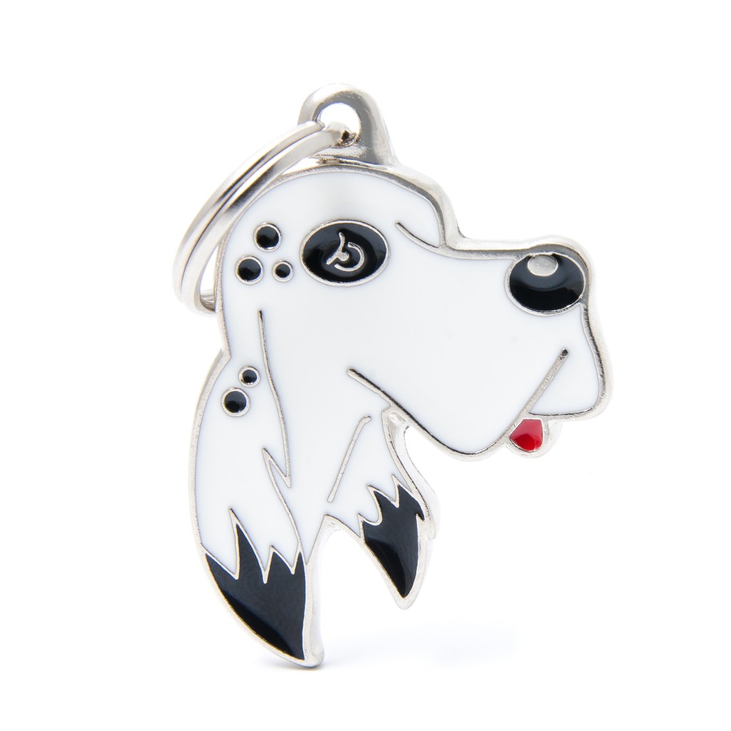 بطاقة تعريف أصدقاء ماي فاميلي - سيتار إنجليزي