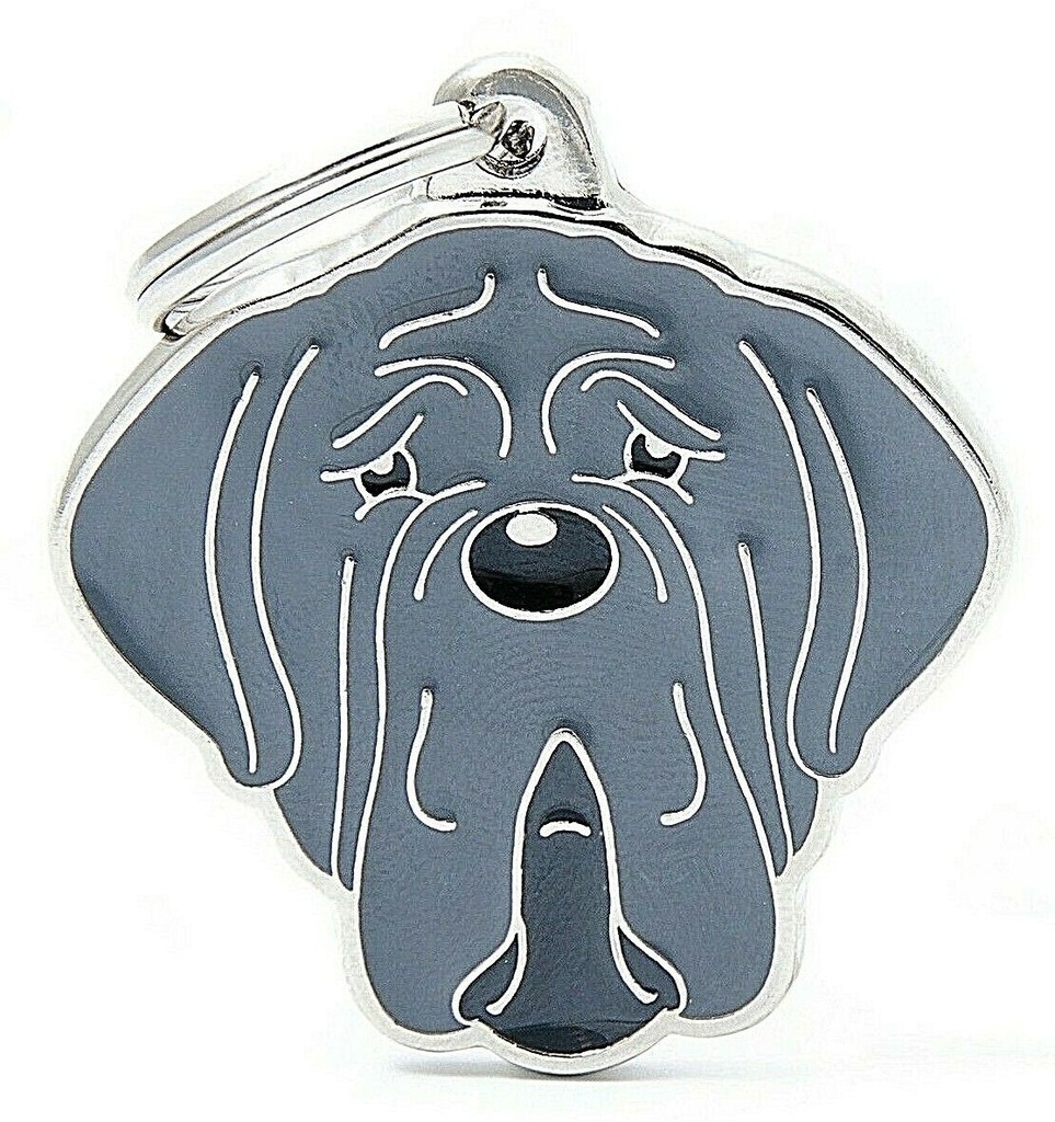 بطاقة تعريف أصدقاء ماي فاميلي - مستيف نابولي