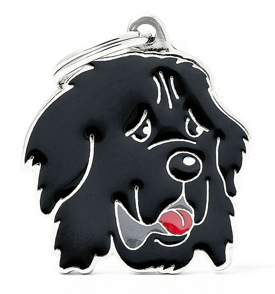 بطاقة تعريف أصدقاء ماي فاميلي - نيوفاوندلاند