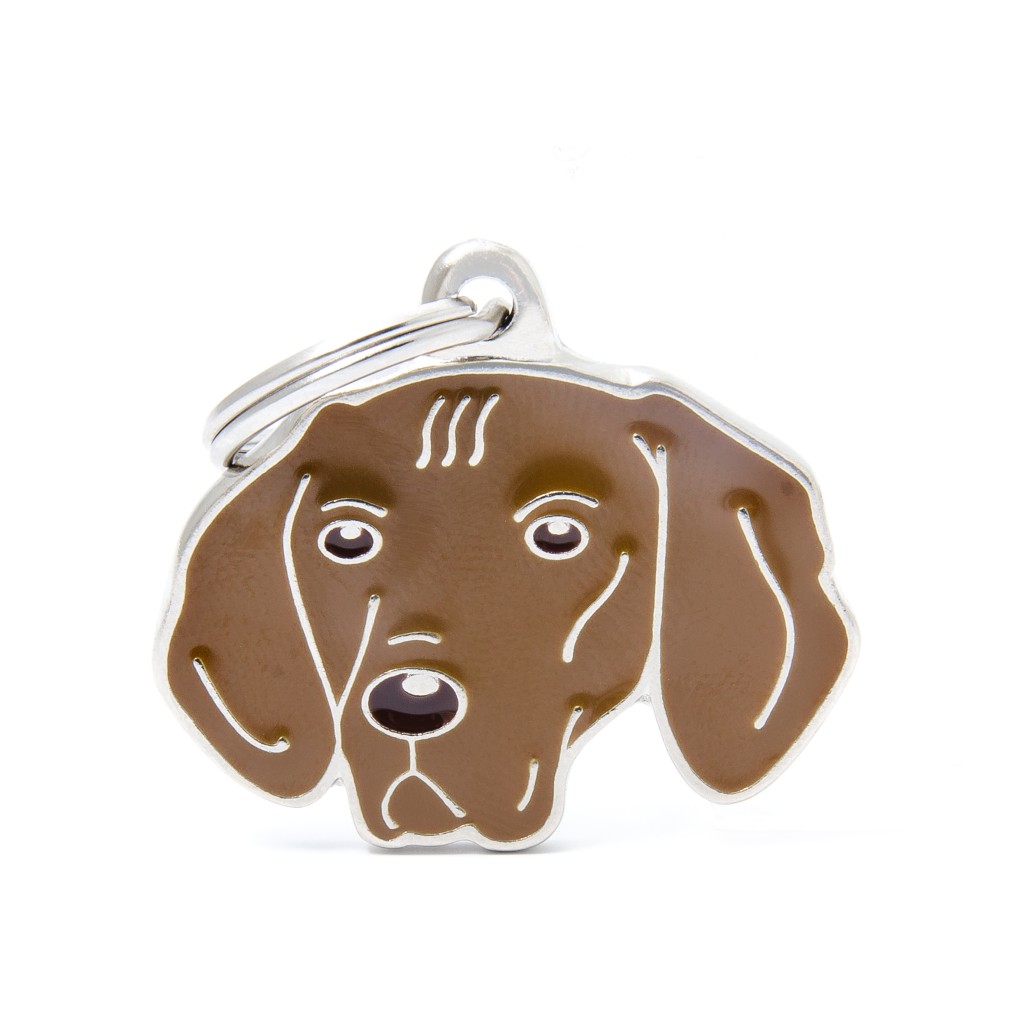 My Family Friends ID Tag - Vizsla