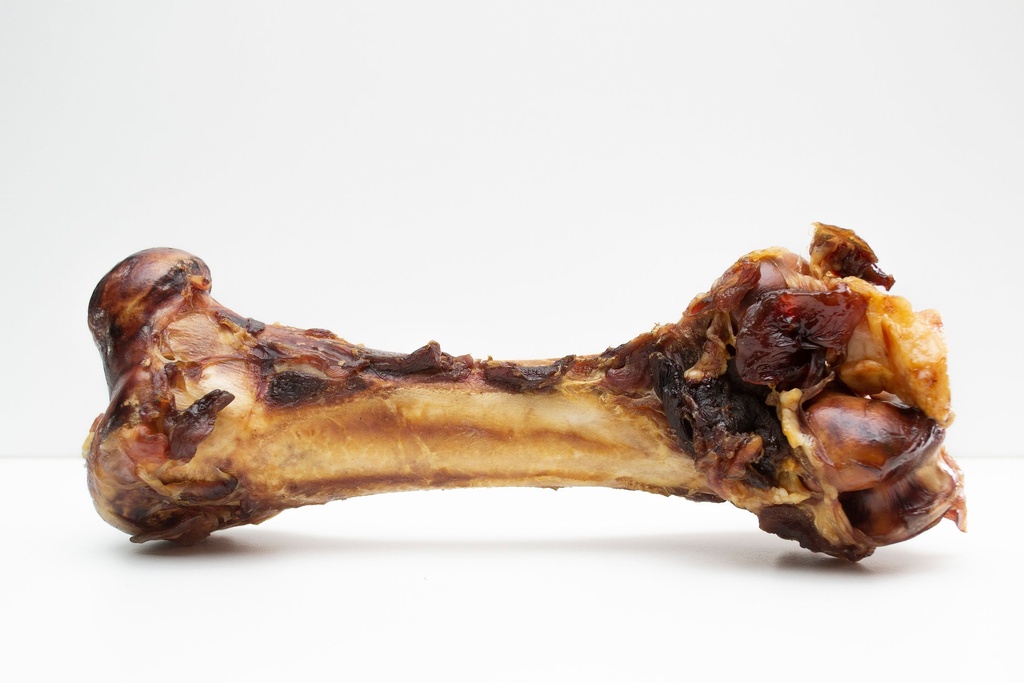 Natural Protein Ostrich Dino Bone 380g