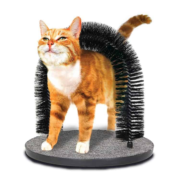 Pawise Grooming Scratcher