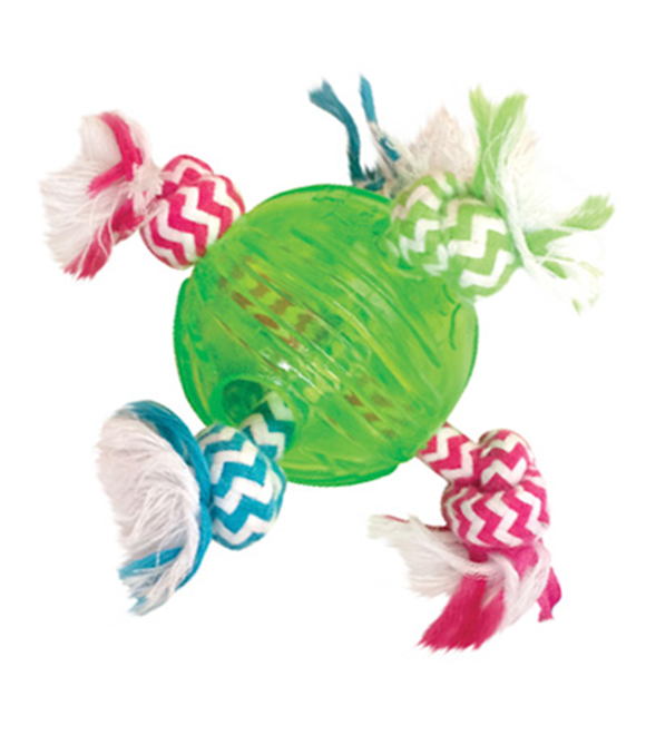 Pet Interest Fun Rugs For Puppy