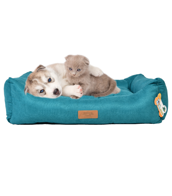 بتس.لوف.إيرث كوكي تركواز