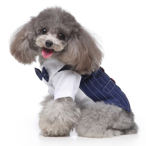 [6083174350526] Pets.Love.Earth Gentleman Costume Blue (Medium)