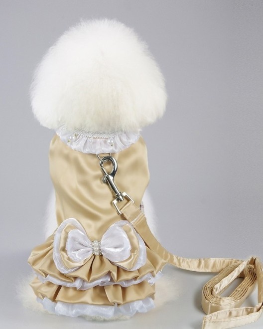 Pets.Love.Earth Golden Dress With Leash