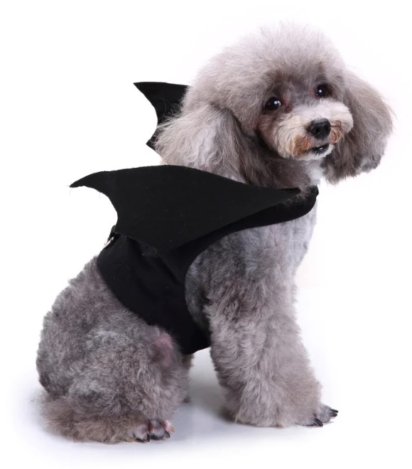 Pets.Love.Earth Halloween Bat Costume