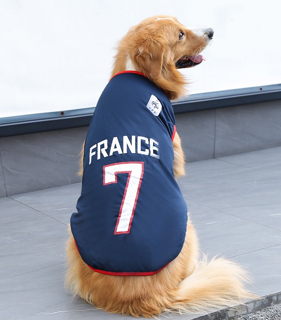 قماش رياضي شبكي - فرنسا من بت لوف إيرث