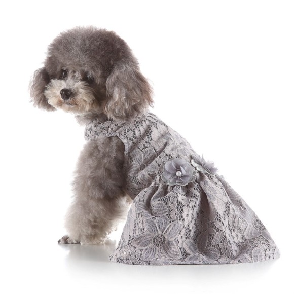 Pets.Love.Earth Net Cocktail Dress Grey