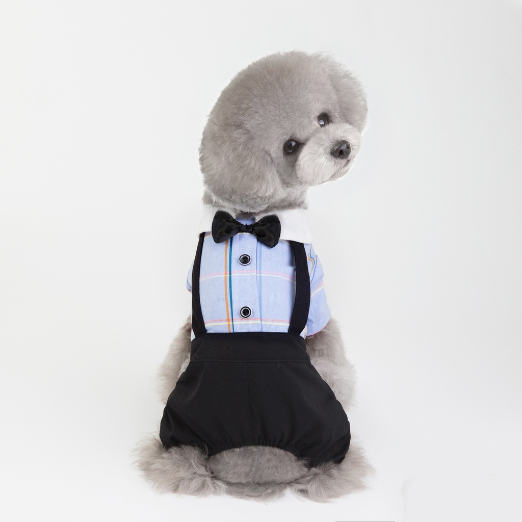 بدلة مع ربطة عنق باللون الأزرق للحيوانات الأليفة من بت لوف إيرث