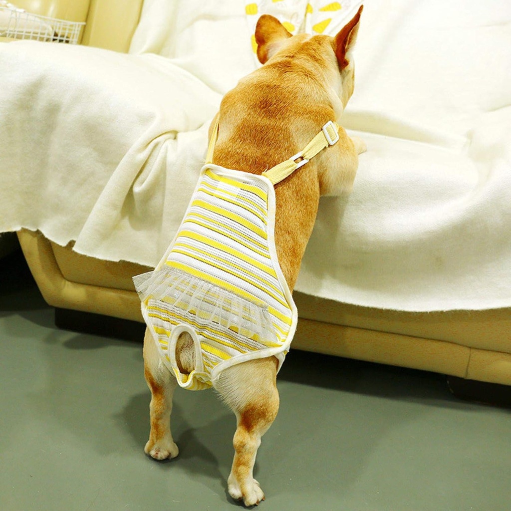 Pets.Love.Earth Physiological Pants Nappies Yellow