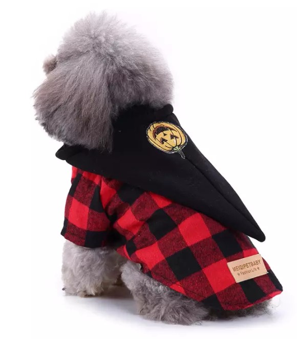 قبعة يقطينة من بت لوف إيرث