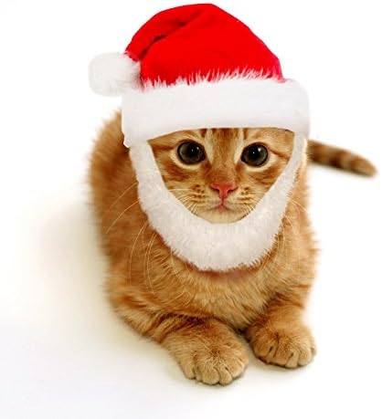 [6083174350328] Pets.Love.Earth Santa Hat With Beared (Small)