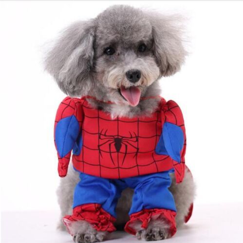 [6083174350076] Pets.Love.Earth Spiderman Costumes (Medium)