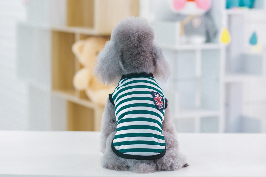 Pets.Love.Earth Strap Vest Green